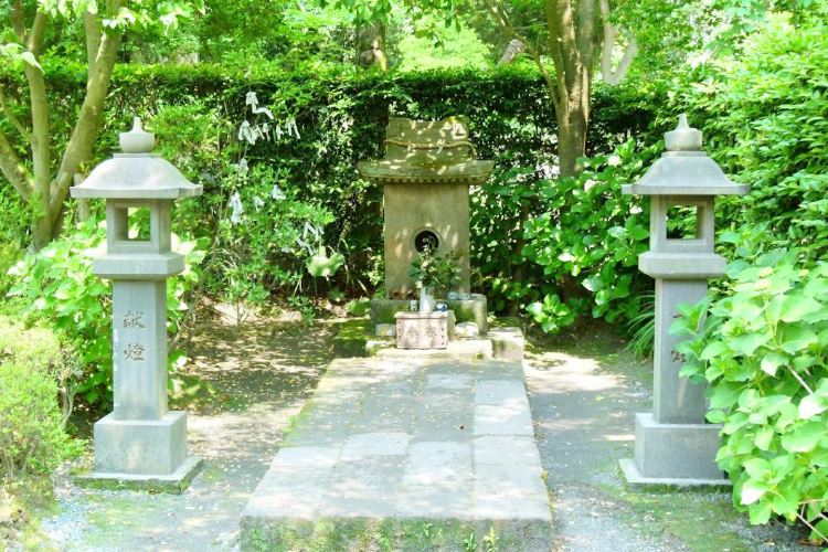 鹿児島 猫神神社 評判 案内 トリップドットコム