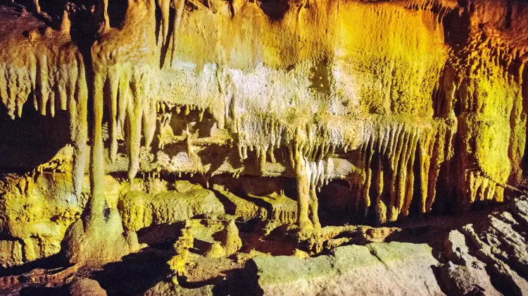 エドモンソン マンモス ケーブ 評判 案内 トリップドットコム