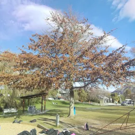 Takapuna Beach Reserve Playground