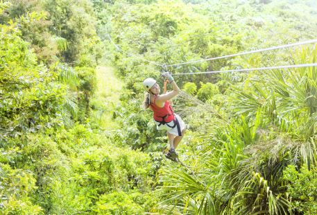 Flying Gibbons' Jungle Leap