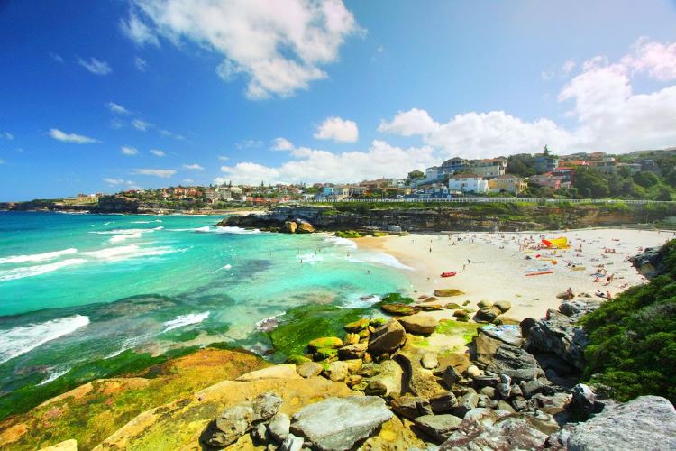 Tamarama Beach Travel Guidebook Must Visit Attractions In Sydney Tamarama Beach Nearby Recommendation Trip Com