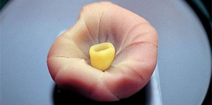 俵屋吉富 本店 必吃推薦 京都府京都俵屋吉富 本店 Trip Com