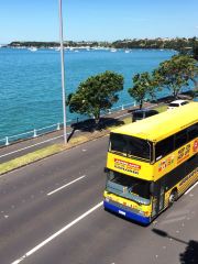 Auckland Explorer Bus