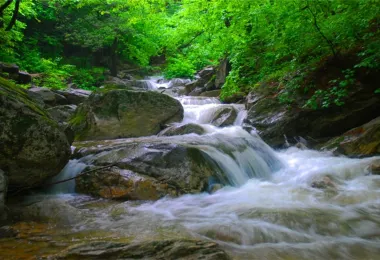 Qinling Dabagou Sceneic Area Popular Attractions Photos