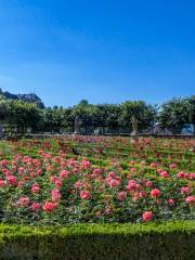 rosengarten