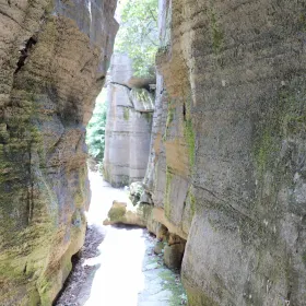 Stone Forest Maze