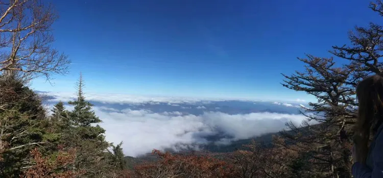 富士河口湖食堂必吃推薦 富士河口湖町富士河口湖食堂 Trip Com