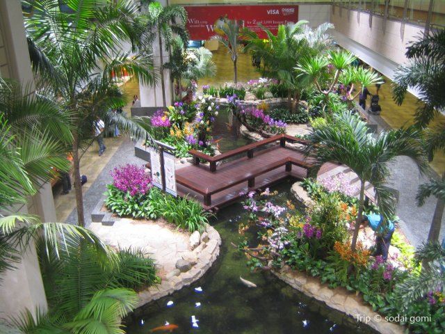 Orchid Garden Koi Pond Travel Guidebook Must Visit Attractions In Singapore Orchid Garden Koi Pond Nearby Recommendation Trip Com