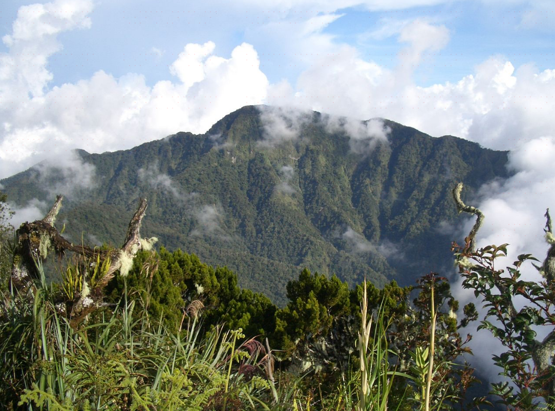 10 Best Things to do in Bukidnon, Northern Mindanao Bukidnon travel