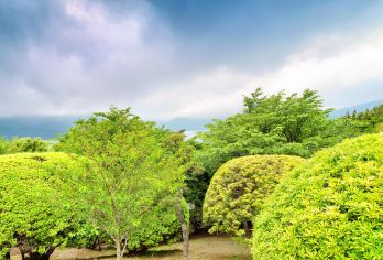 恩賜箱根公園 熱門景點照片