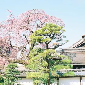 総本山知恩院