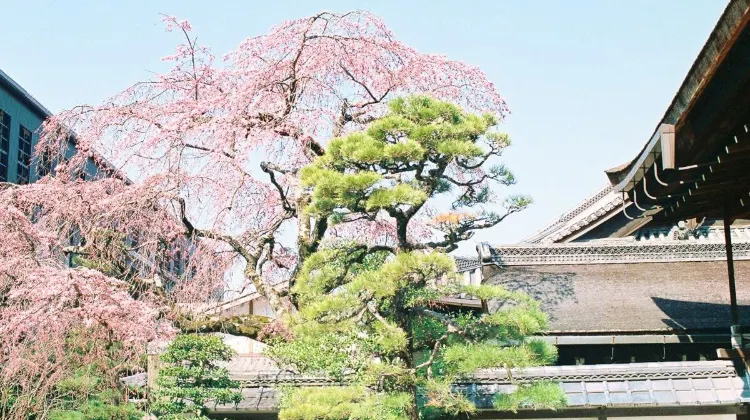 京都 総本山知恩院 評判 案内 トリップドットコム