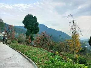 Zhaohuaniutou Mountain