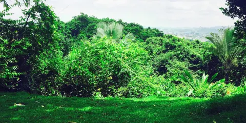 Botanical Garden of Guayaquil
