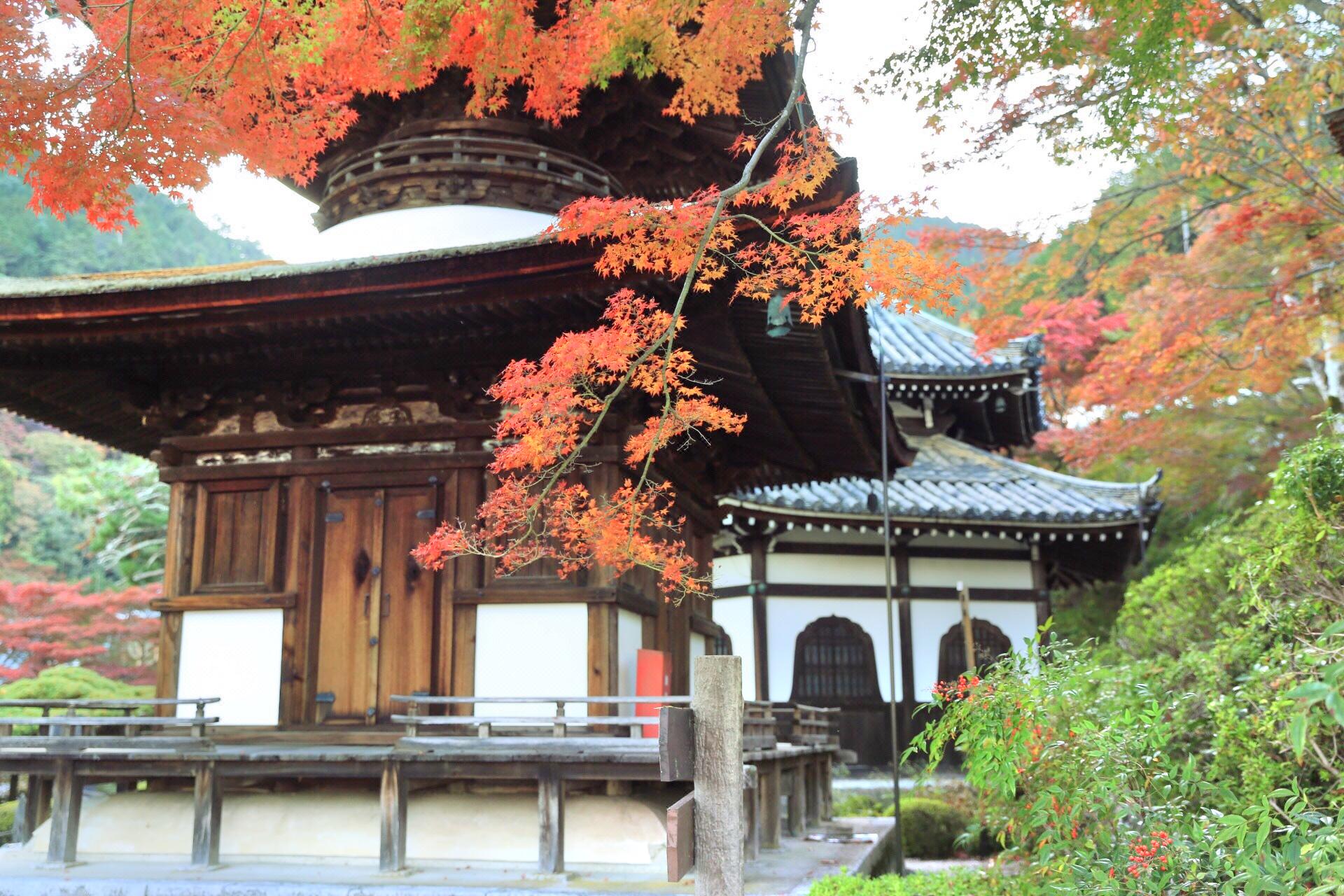 Yoshimine Temple travel guidebook –must visit attractions in Kyoto –  Yoshimine Temple nearby recommendation – Trip.com