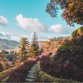 Terrazas de Flores