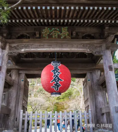 絶対に行くべき館山の観光スポット トリップドットコム