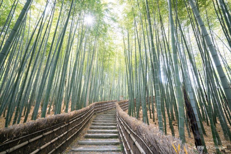 Adashino Nenbutsu Ji Temple Photos Photos Of Kyoto Attractions Trip Moments