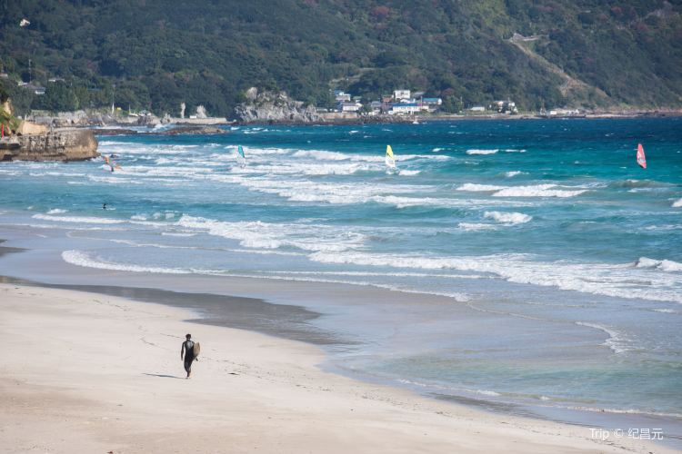 下田 白浜大浜海水浴場 評判 案内 トリップドットコム 下田 白浜大浜海水浴場 評判 案内 トリップドットコム