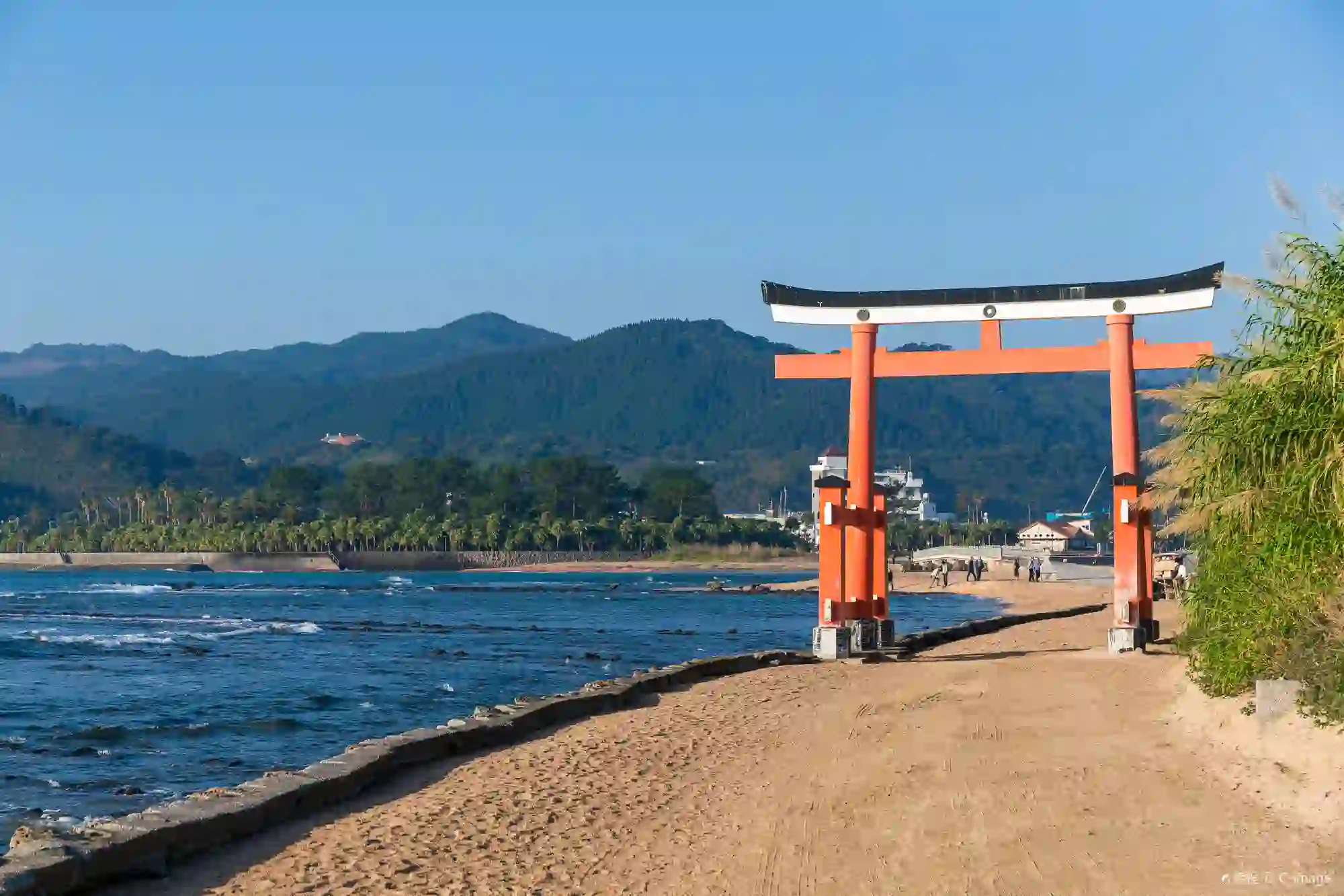 Aoshima, Aoshima Shrine - Japan Travel Planner - ANA