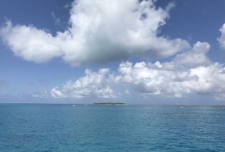 Lady Musgrave Island Dive Sites