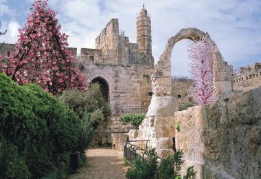 King David's Tomb Popular Attractions Photos