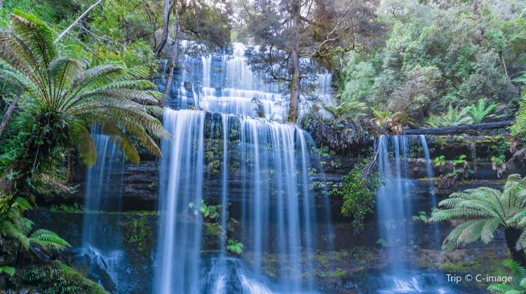 Russell Falls Tasmania Map Russell Falls Attraction Reviews - Russell Falls Tickets - Russell Falls  Discounts - Russell Falls Transportation, Address, Opening Hours -  Attractions, Hotels, And Food Near Russell Falls - Trip.com