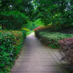 Bailu Park