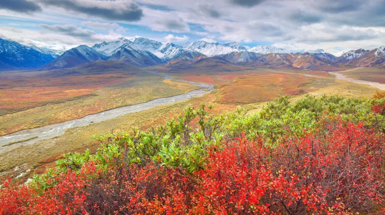 アラスカ州 Denali National Park Preserve 評判 案内 トリップドットコム