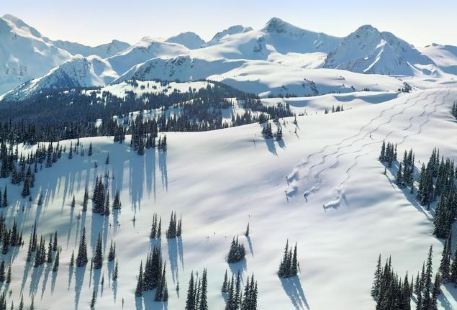 惠斯勒山滑雪場