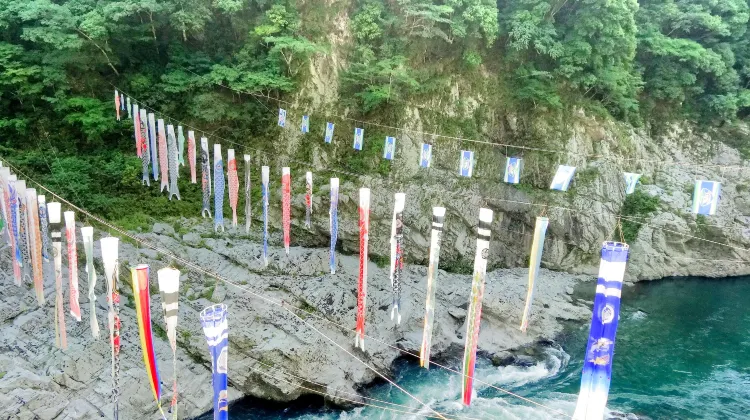 三好 大歩危小歩危 評判 案内 トリップドットコム