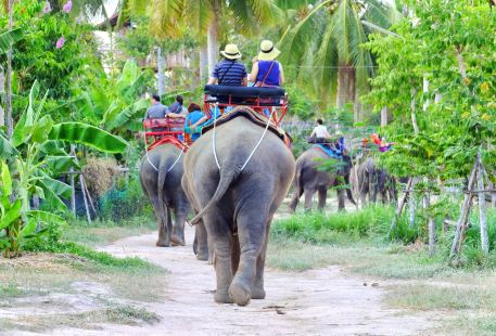 Pattaya Elephant Village