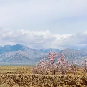 天山風景名勝區