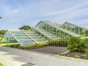 สวนพฤกษศาสตร์หลวงเมืองคิว
