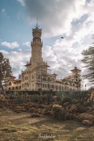 Alexandria,Recommendations