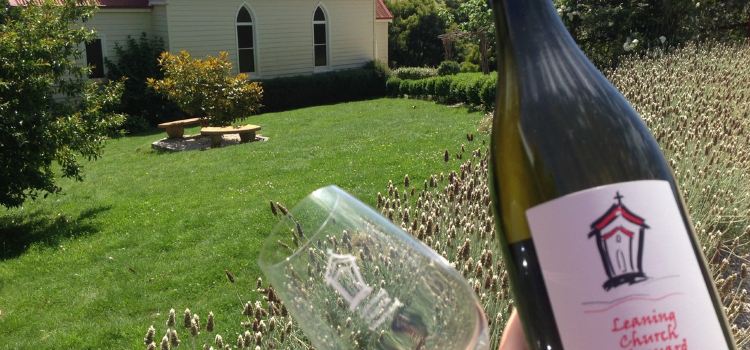 Leaning Church Vineyard