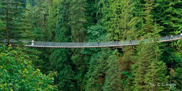 22年ブリティッシュコロンビア州の人気観光スポット ブリティッシュコロンビア州の旅行ガイド ブリティッシュコロンビア州のおすすめ観光スポットのチケット ホテル 楽しみ方 グルメ レストラン Trip Com