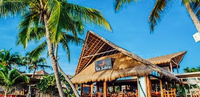 La Zebra Beach Restaurant and Bar Reviews: Food & Drinks in Quintana Roo  Tulum– 