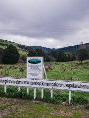 Taumata Hill