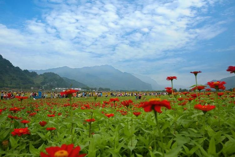 成都 通済花畑 評判 案内 トリップドットコム