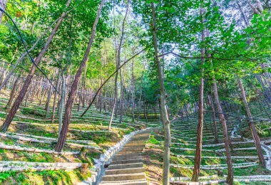 Huoshan Shihu Ecological Garden 명소 인기 사진