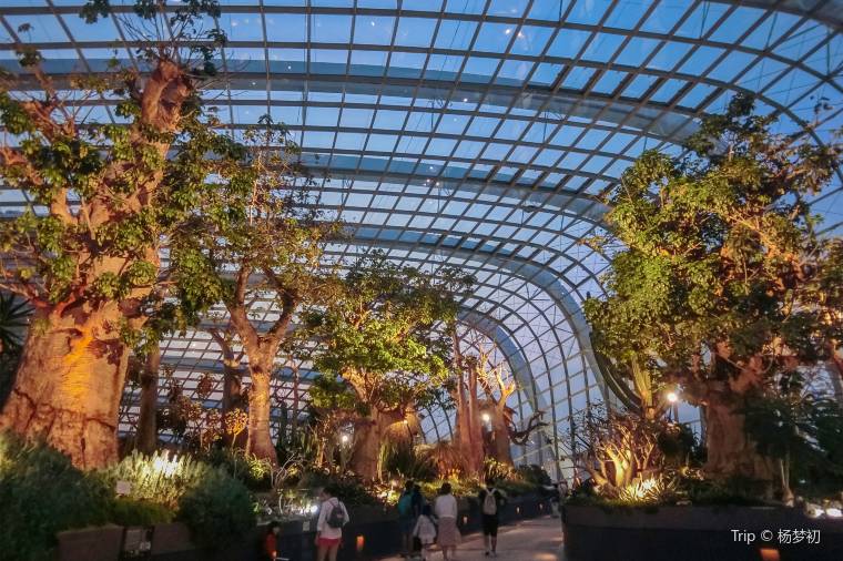 Flower Dome Overview