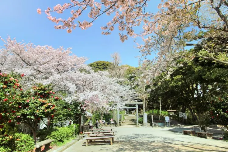 鎌倉 源氏山公園 評判 案内 トリップドットコム