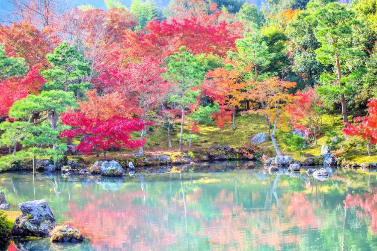 Hama Rikyu Gardens Travel Guidebook Must Visit Attractions In Tokyo Hama Rikyu Gardens Nearby Recommendation Trip Com Hama Rikyu Gardens Travel Guidebook Must Visit Attractions In Tokyo Hama Rikyu Gardens Nearby Recommendation Trip Com