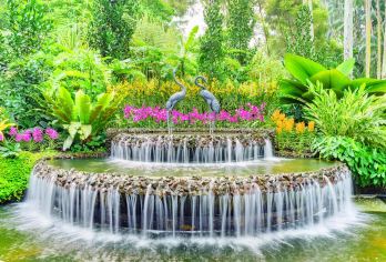 National Orchid Garden Popular Attractions Photos