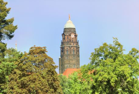 Town Hall Tower (Rathausturm)