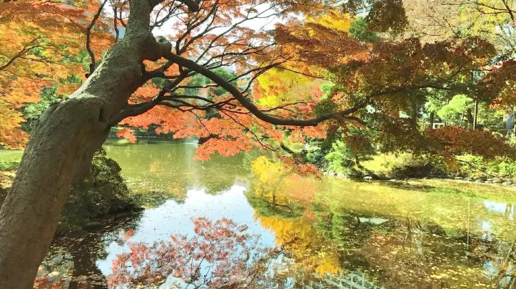 東京 日比谷公園 評判＆案内  トリップドットコム
