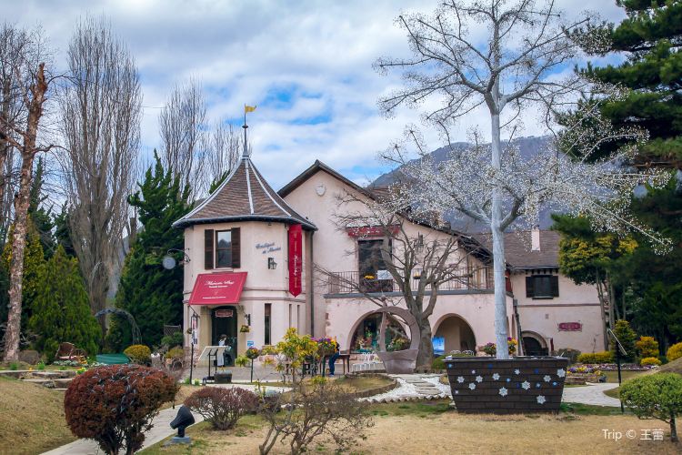 富士河口湖 河口湖オルゴールの森美術館 評判 案内 トリップドットコム