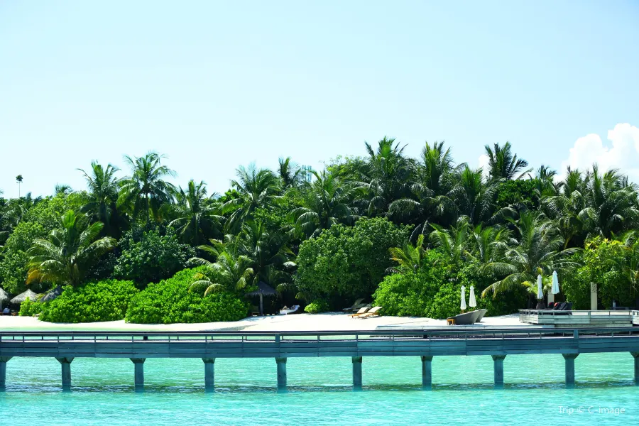 Medhufushi Island Resort1
