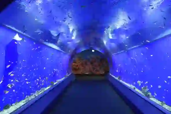 Trip.com